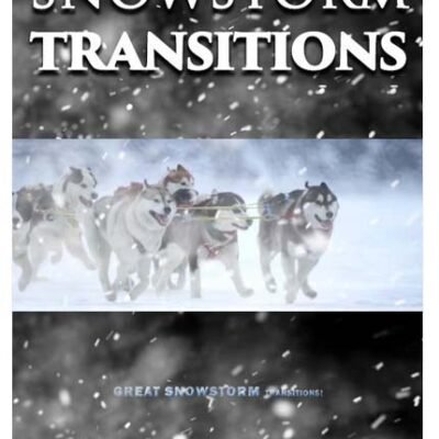 Snowstorm Transitions