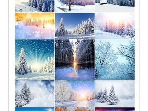 Stock Photo Winter Nature and Landscapes