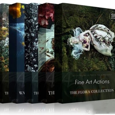 the.fine.art.bundle.for.photoshop