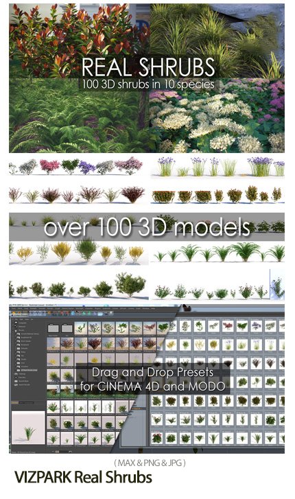 vizpark.real.shrubs VIZPARK Real Shrubs