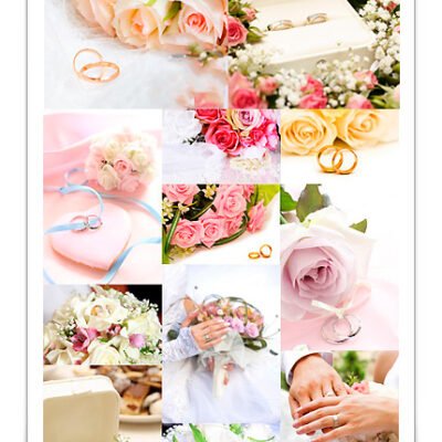 Wedding Beautiful Bouquet Collection
