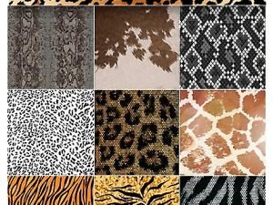 Amazing ShutterStock Animal Skin