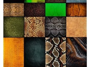 Amazing ShutterStock Snake Skin