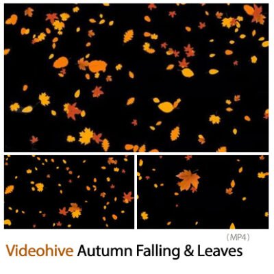 Autumn Falling And Leaves Overlays