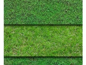 CG Artist Grass Textures