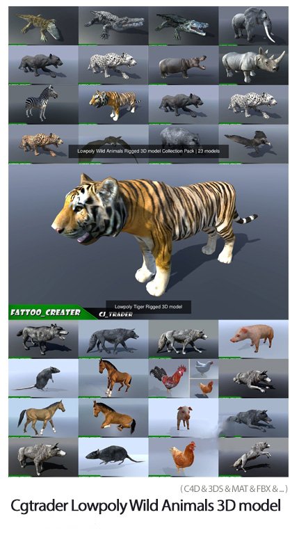 Cgtrader Lowpoly Wild Animals Rigged 3D model Pack | visualstorms