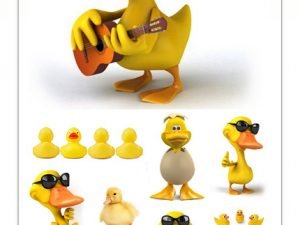 Duck Collection