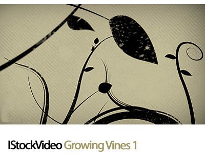 IStockVideo Growing Vines 01