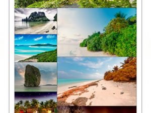 Mountains And Vegetation Of Polynesia