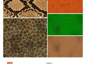 Snake Skin Texture