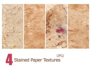 Stained Paper