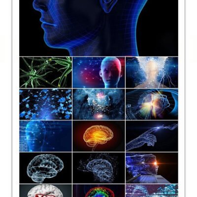 Collection 3D Intellect Intelligence Brain