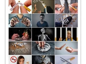 Collection Of The Harm Of Smoking