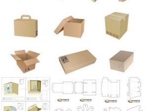 35 Packaging Molds And Templates In Vector