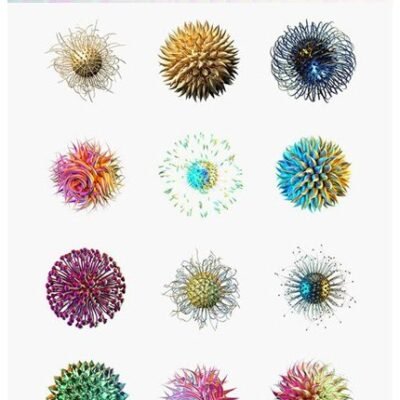 15 Spectral Microworld Shapes