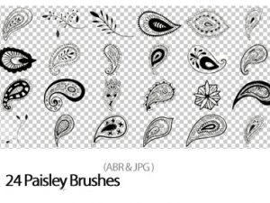 24 Paisley Brushes