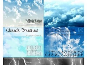 24 Stylish And Natural Photoshop Brushes Collection