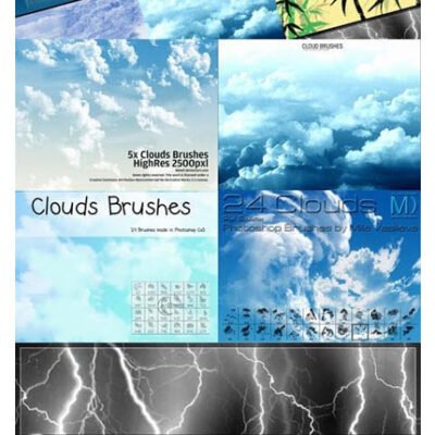 24 Stylish And Natural Photoshop Brushes Collection