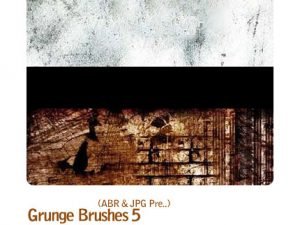 Grunge Brushespack 05