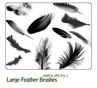 Large Feather Brushes