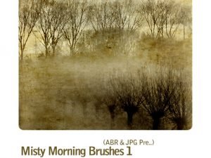 Misty Morning Brushes 01