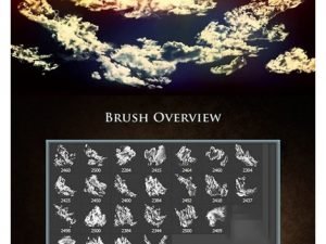 CM 25 Contrast Cloud Brushes