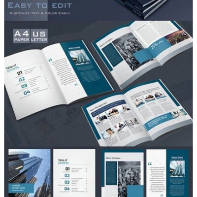 CM Annual Report 2016