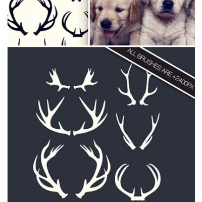 Designtnt Antlers Brushes