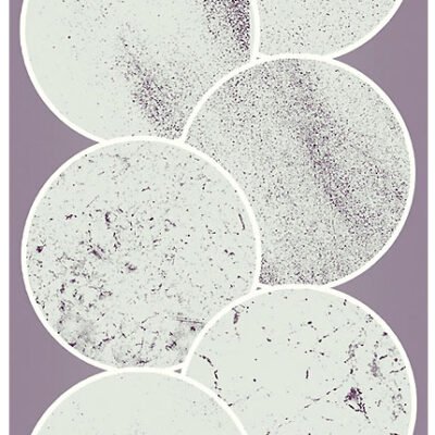 Designtnt Subtle Grunge Brushes