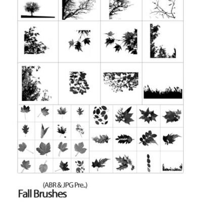 Fall Brushes