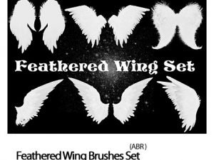 Feathered Wing Set