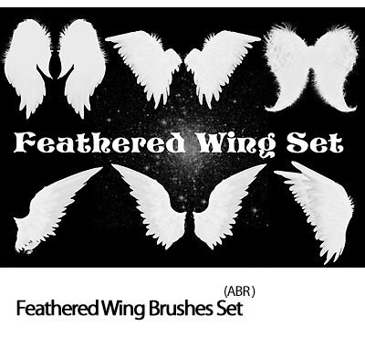 Feathered Wing Set