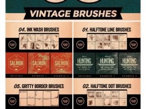 GraphicRiver 50 Vintage Brushes