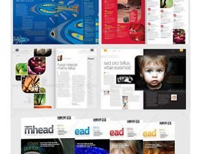 Graphicriver Contemporary Magazine