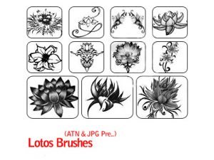 Lotos Brushes