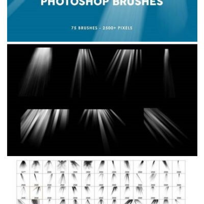75 Sunshine Photoshop Stamp Brushes