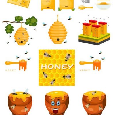 Apiary Honey Bees