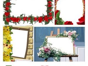 Flowers Frames