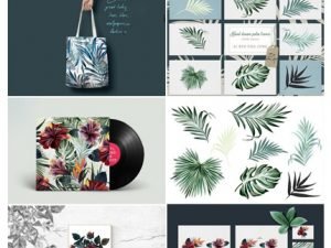 Tropical Vector Hibiscus Flowers Set