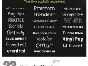 23 Unique Font Families