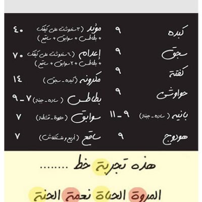 Dast Nevis Arabic Font