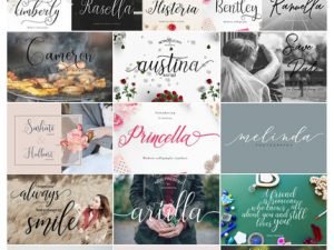 The Amarlettering Bundle Of 16 Modern Script Fonts