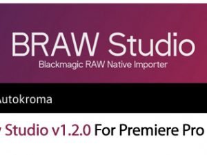 Braw Studio v1.2.0 For Premiere Pro