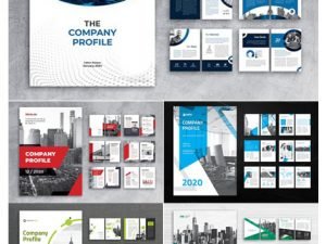 5 Company Profile Pack