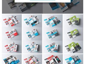 CM 10 Trifold Brochure Bundle