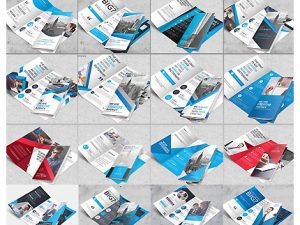 CM 50 Mega Trifold Brochures Bundle