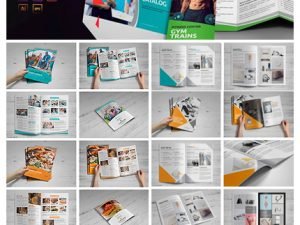 CM Multipurpose Brochure Design