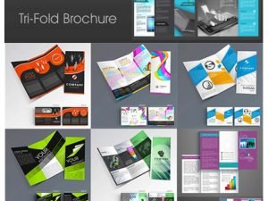 Professional Business Three Fold Flyer Collection