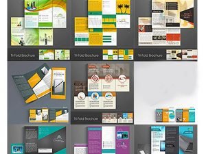 Professional Business Three Fold Flyer Collection