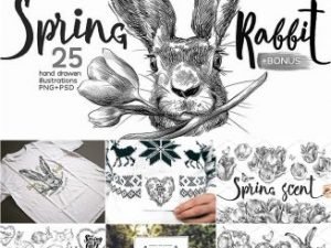 Spring rabbit illustrations